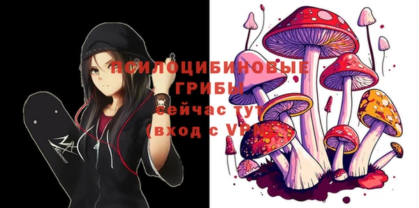 МДМА Армянск