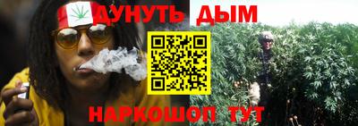 крисы Краснознаменск