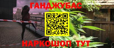 крисы Краснознаменск