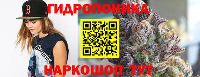 крисы Краснознаменск