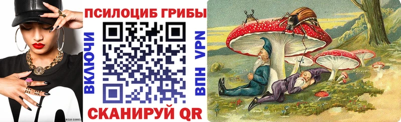 мориарти официальный сайт  Изобильный  Псилоцибиновые грибы мицелий 