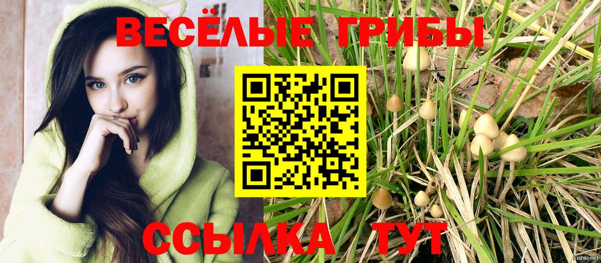 Галлюциногенные грибы мицелий Изобильный